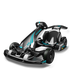 Segway Gokart PRO 2